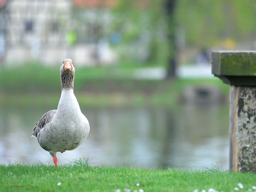 Fuß wärmen (Foto: Uli Pfeufer)