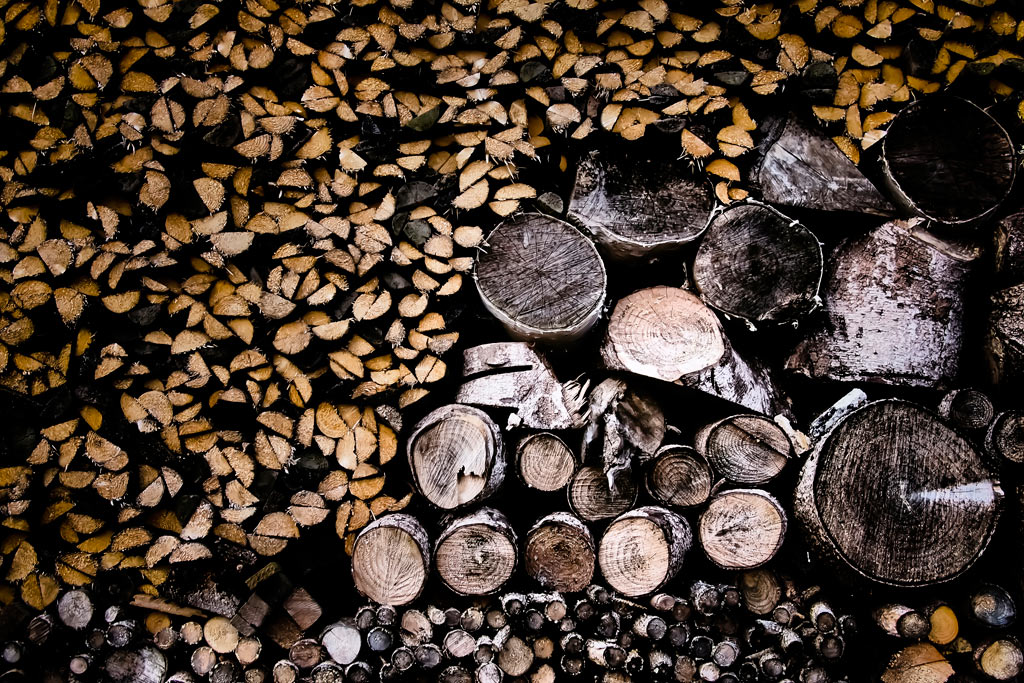 Serie: Holz (Foto: Peter Zastrow)