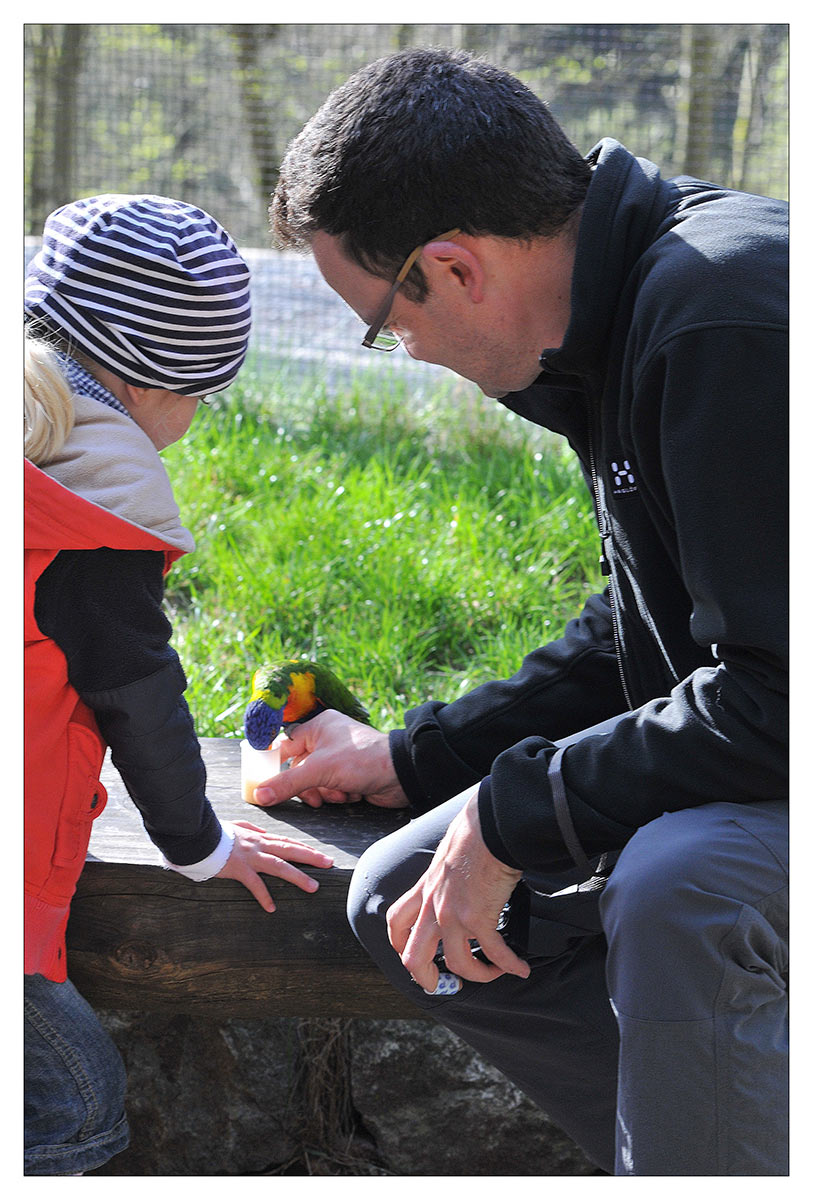 Serie: Tierparkbesuch (Foto: Karl-Heinz Richter)