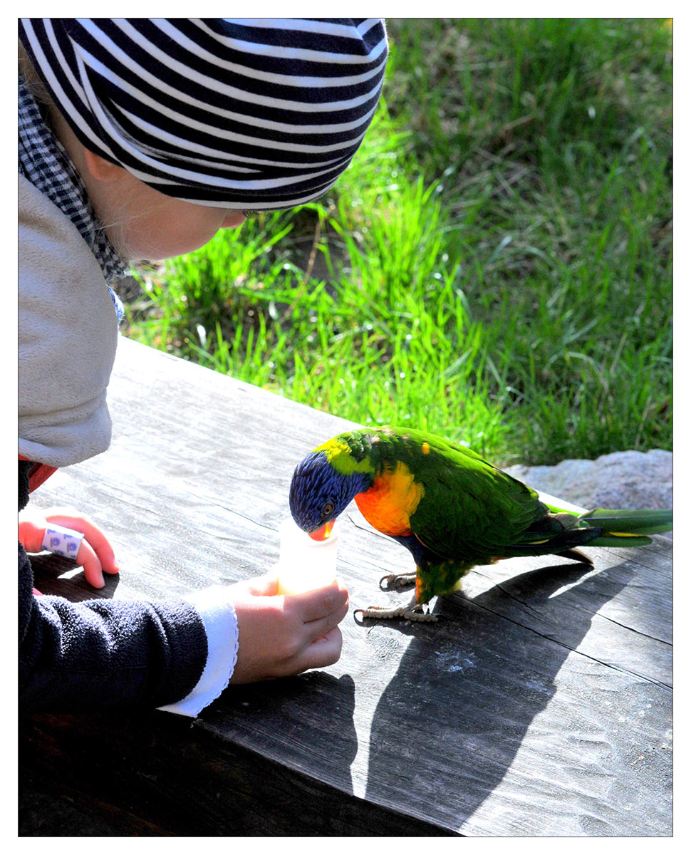 Serie: Tierparkbesuch (Foto: Karl-Heinz Richter)