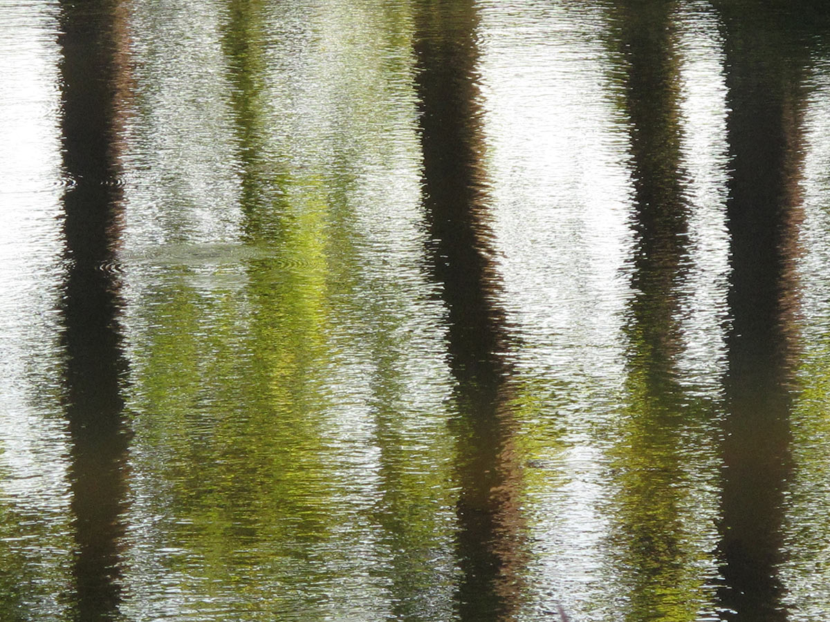 Parkspiegel (Foto: Andreas Kuhrt)