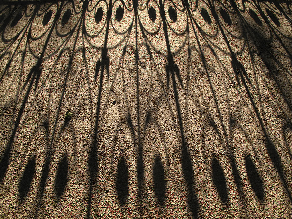 Filigran (Foto: Andreas Kuhrt)