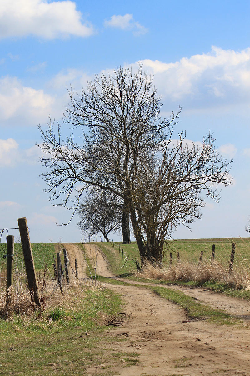 Roggow (Foto: Roland Kastner)