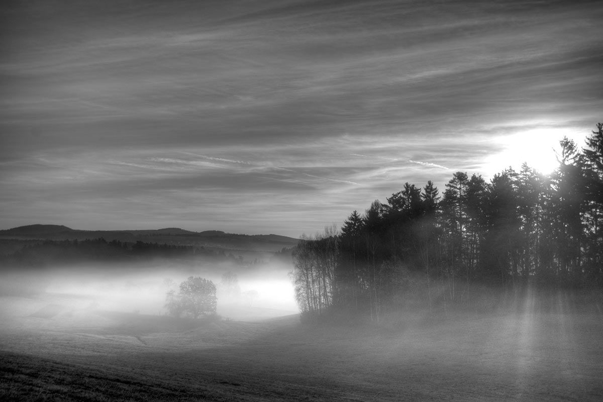 2011-07-02_morgennebel_uli-pfeufer Morgennebel (Foto: Uli Pfeufer)