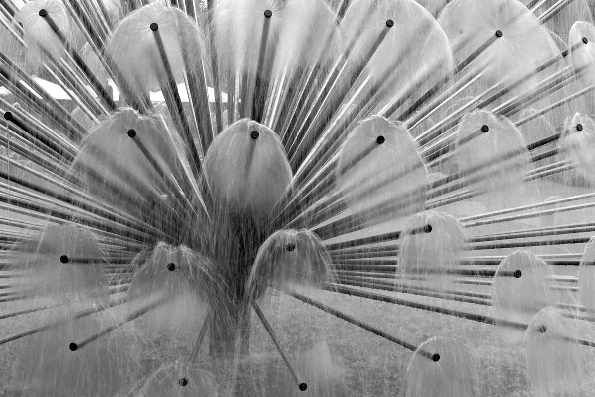 Kein Fotoclub
