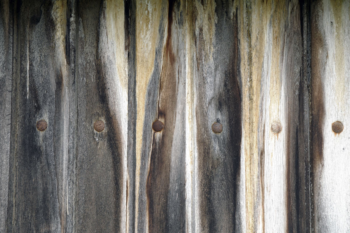 Holztür (Foto: Ute Zohles)