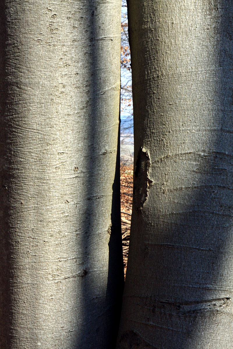 Serie: Durchblick (Foto: Peter Maximilian Schmidt)