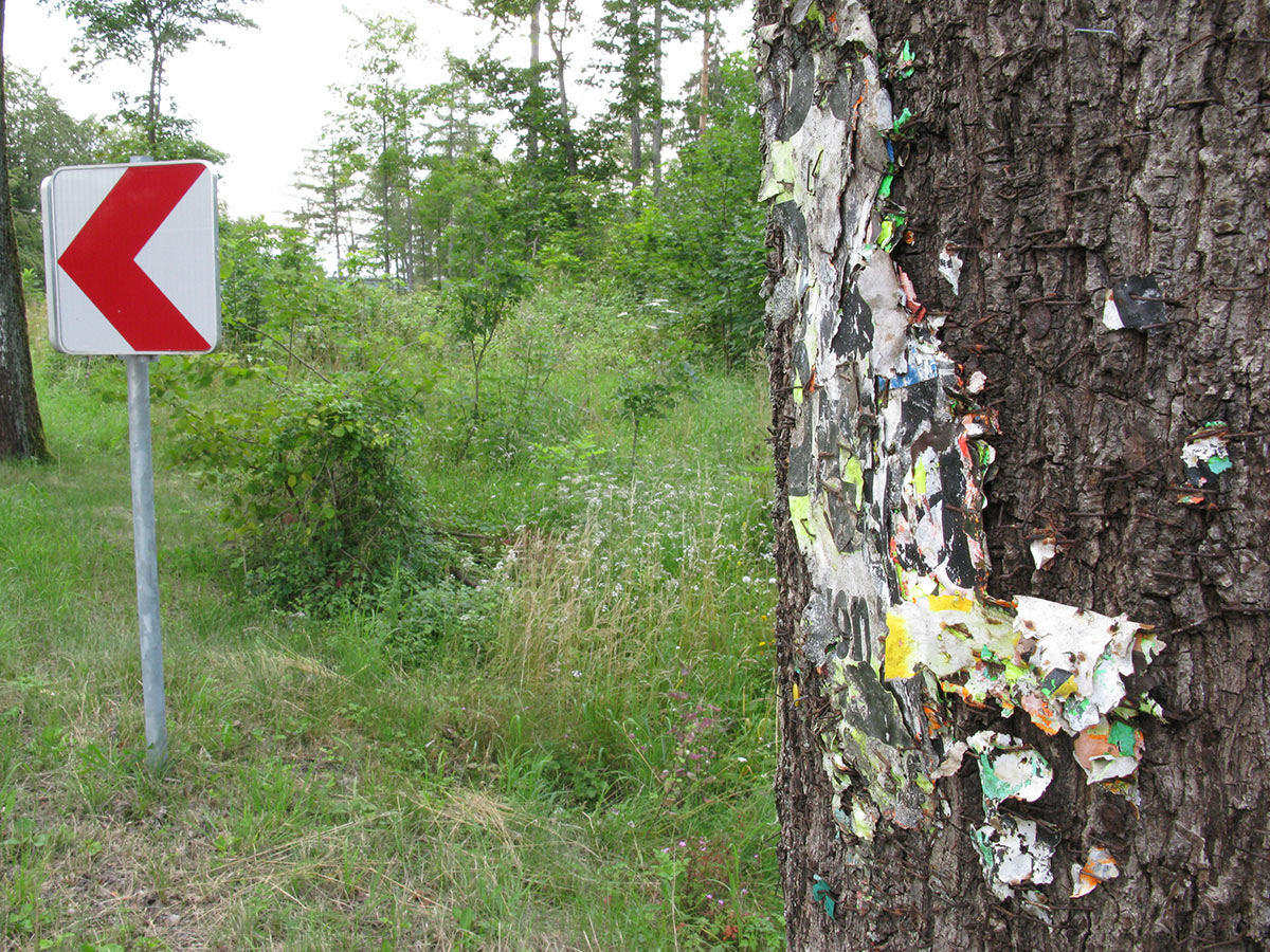 Serie: Plakatebaum (Foto: Peter Maximilian Schmidt)