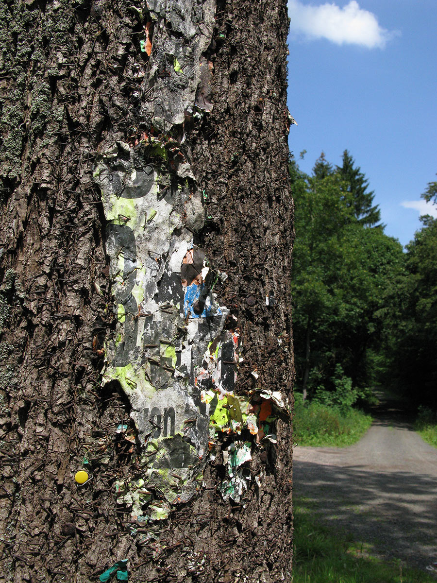 Serie: Plakatebaum (Foto: Peter Maximilian Schmidt)
