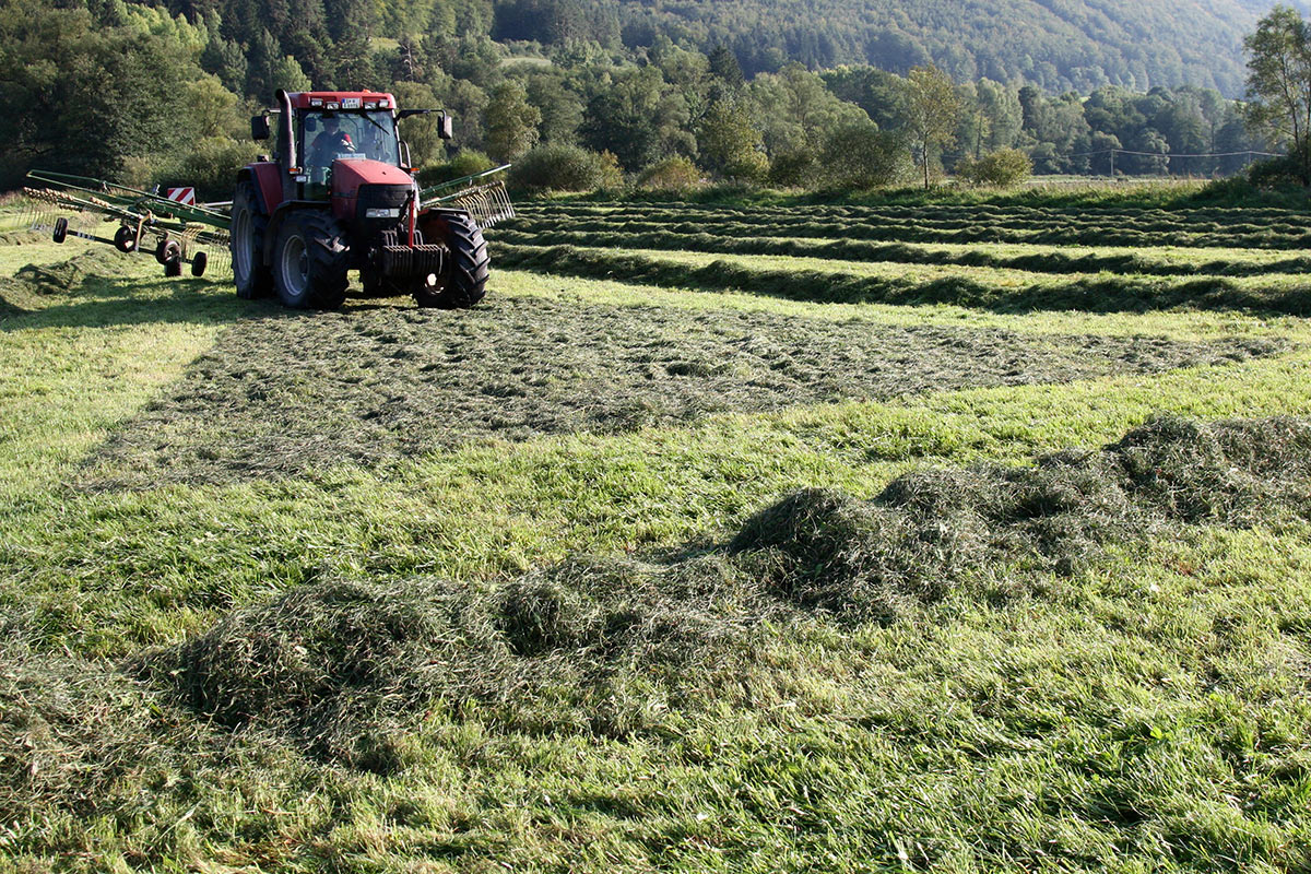 2011-10-14_IMG_3988_1_pms_14 Heuernte (Foto: Peter Maximilian Schmidt)