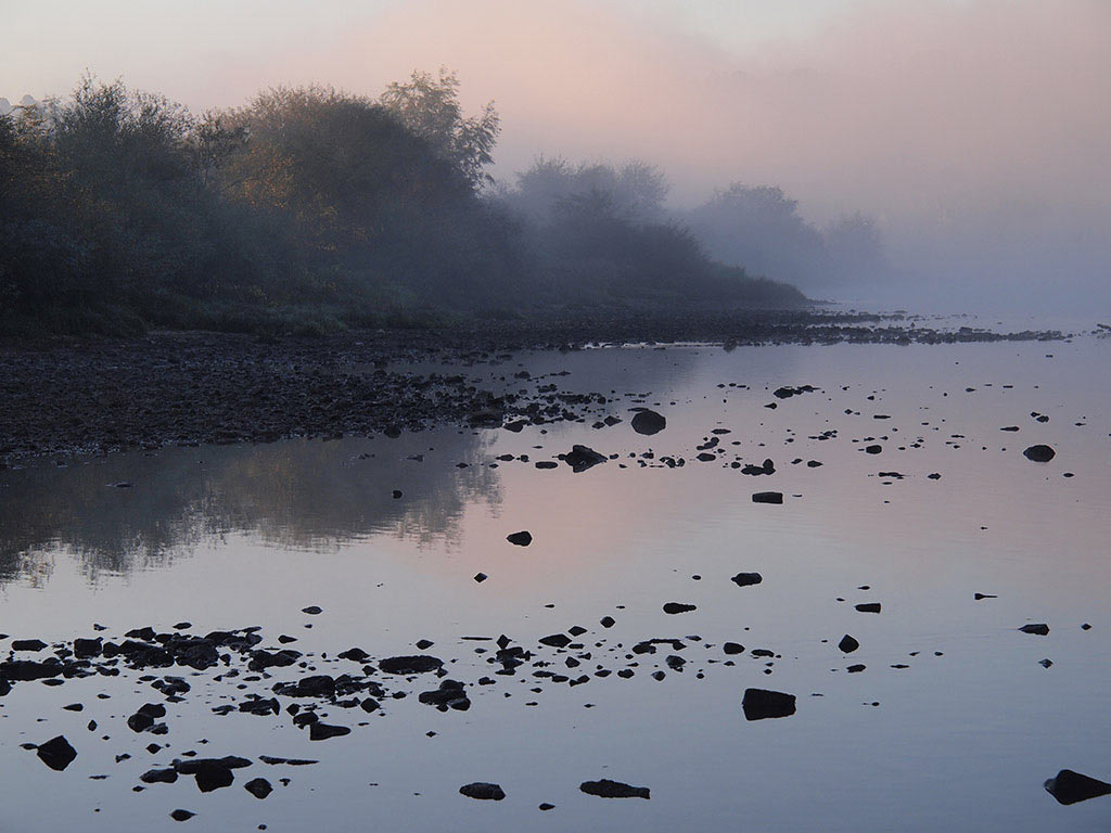 2011-10-19_O0006581_nebel_mh_21 Nebel am Fluss (Foto: Manuela Hahnebach)