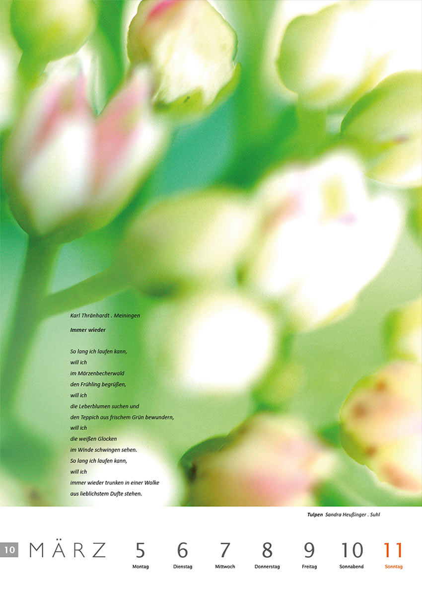 2011-Literaturkalender-Thueringer-Ansichten-2012-10 Immer wieder (Text: Karl Thränhardt) | Tulpen (Foto: Sandra Heußinger) . Literaturkalender Thüringer Ansichten 2012