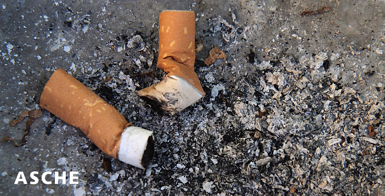 2011-Mappe-Geld-Asche-mh Asche (Foto: Manuela Hahnebach)