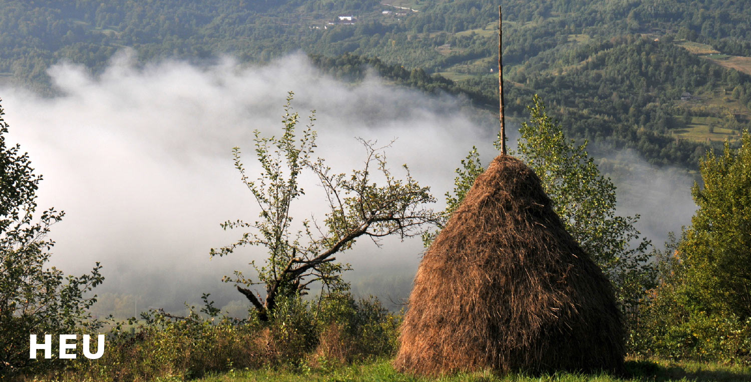 2011-Mappe-Geld-Heu-khr Heu (Foto: Karl-Heinz Richter)