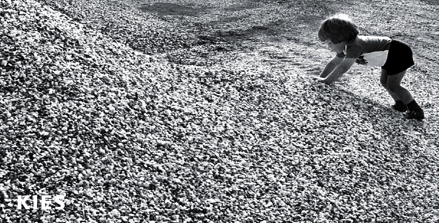 2011-Mappe-Geld-Kies-gg Kies (Foto: Günter Giese)