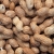 Peanuts (Foto: Ute Zohles)