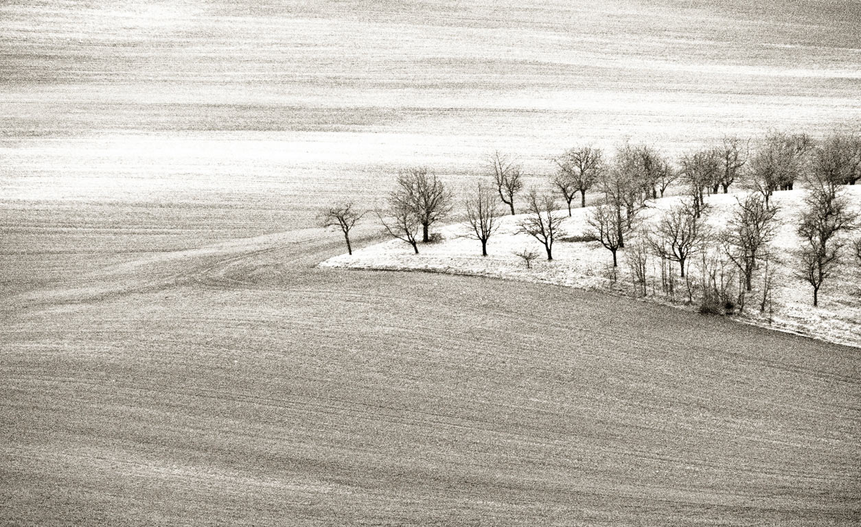 2011-bdj-004_Alte-Obstplantage_pz_15 Alte Obstplantage (Foto: Peter Zastrow)