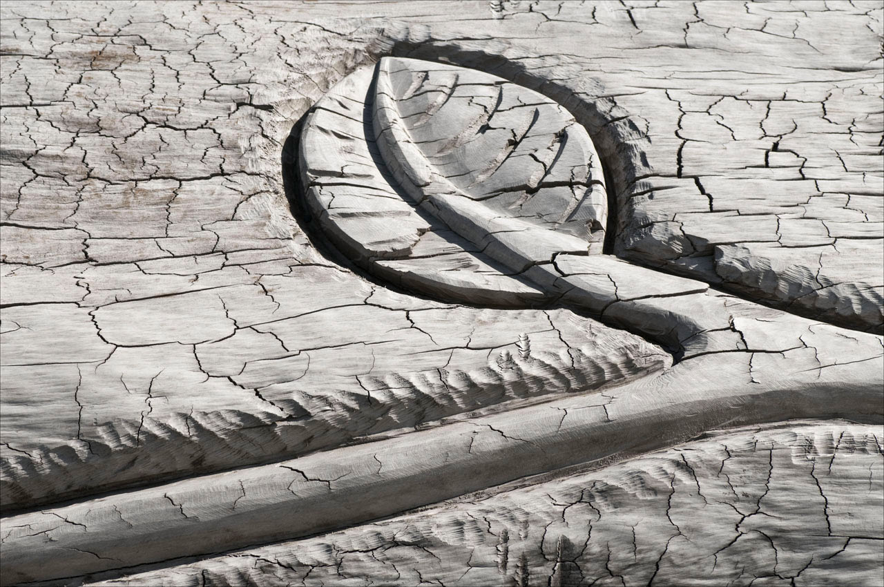 Fotoclub: Bild des Monats 07.2020