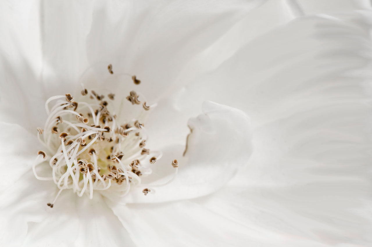 Fotoclub: Fotobearbeitung mit KI