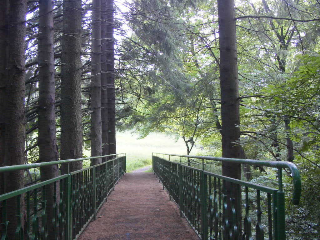 2011-bdj-022_bruecke-am-katzenteich_joh_10 Brücke am Katzenteich (Foto: Johanna Hartung)