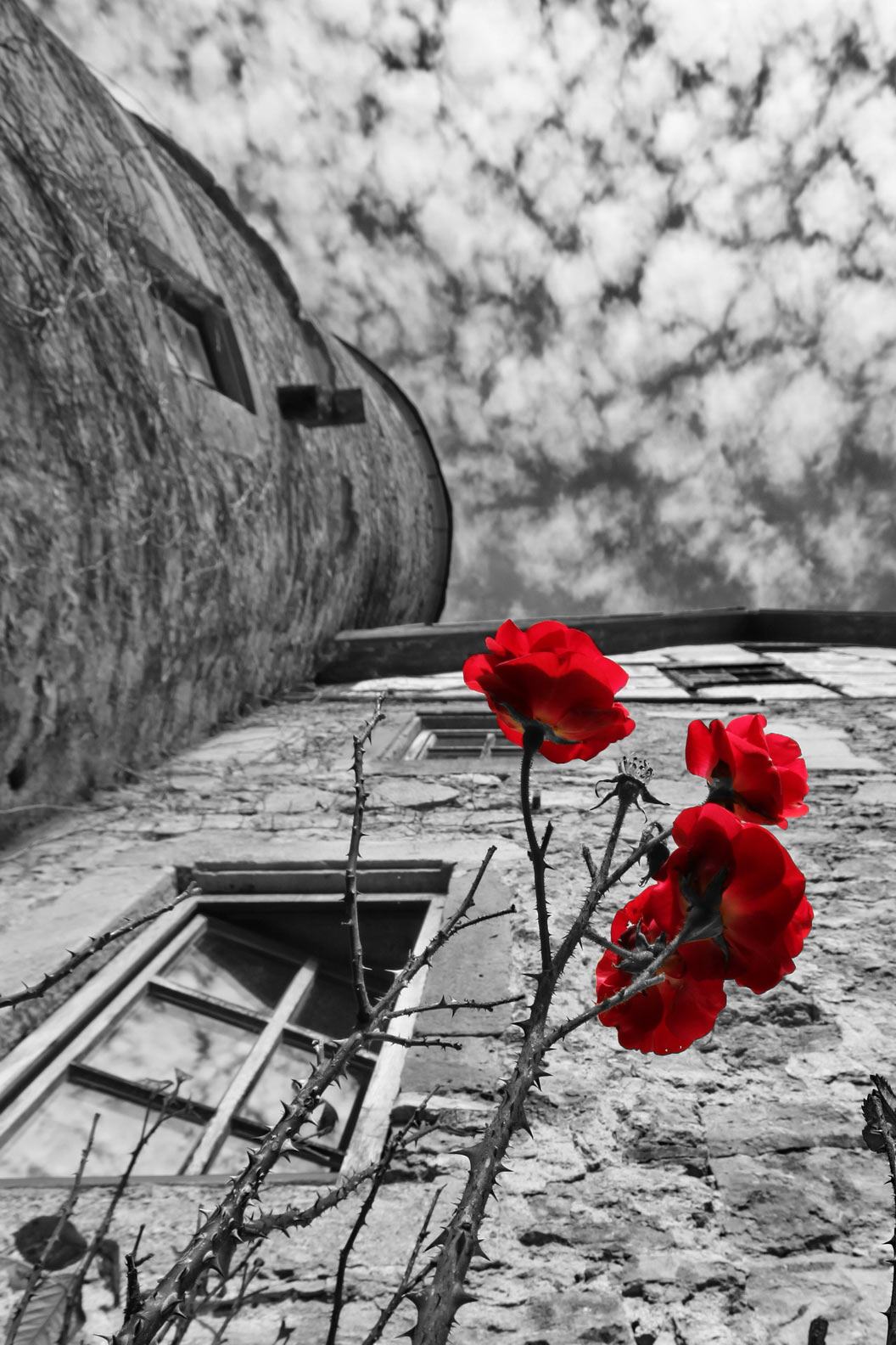 Fotoclub online