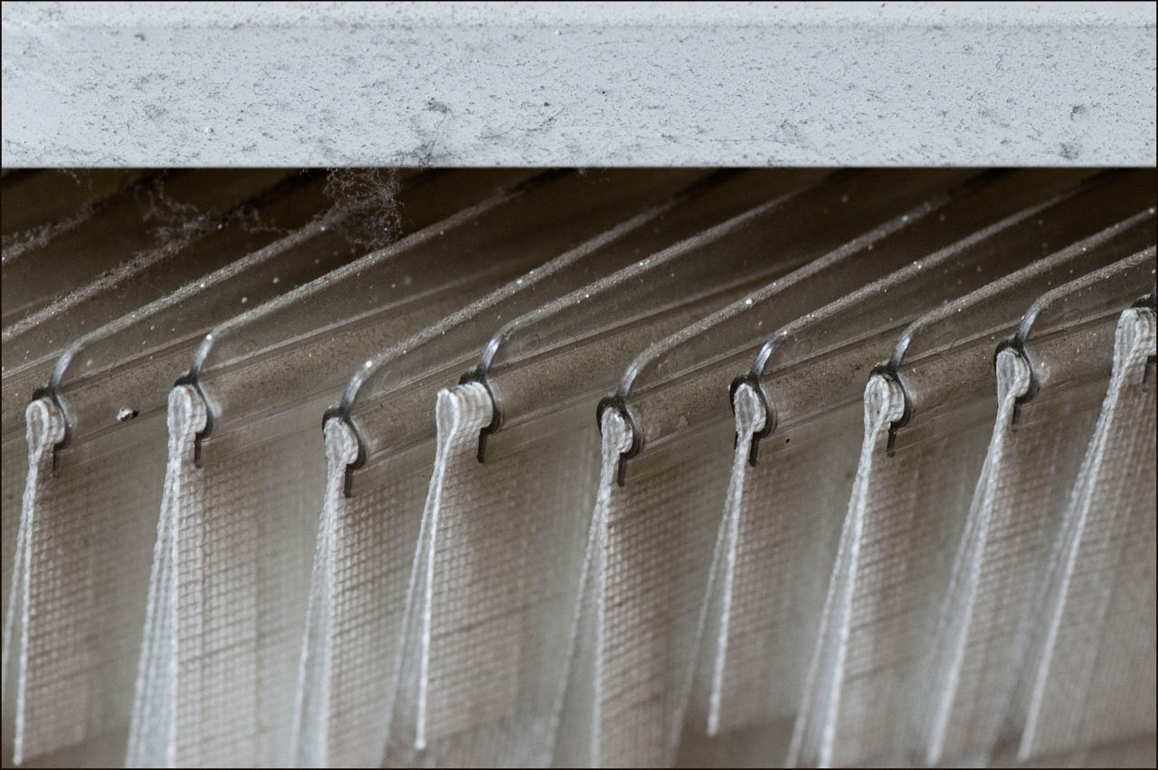 2011-bdj-053_Lamellen_uz_12 Lamellen (Foto: Ute Zohles)