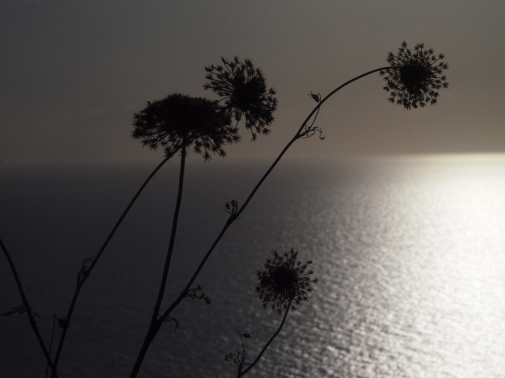 2011-bdj-064_pPB061773_ik_17 Mittelmeer (Foto: Ines Koch)