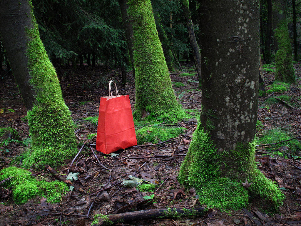 2011-bdj-067_rottaeschchen_mh_22 Rottäschchen (Foto: Manuela Hahnebach)