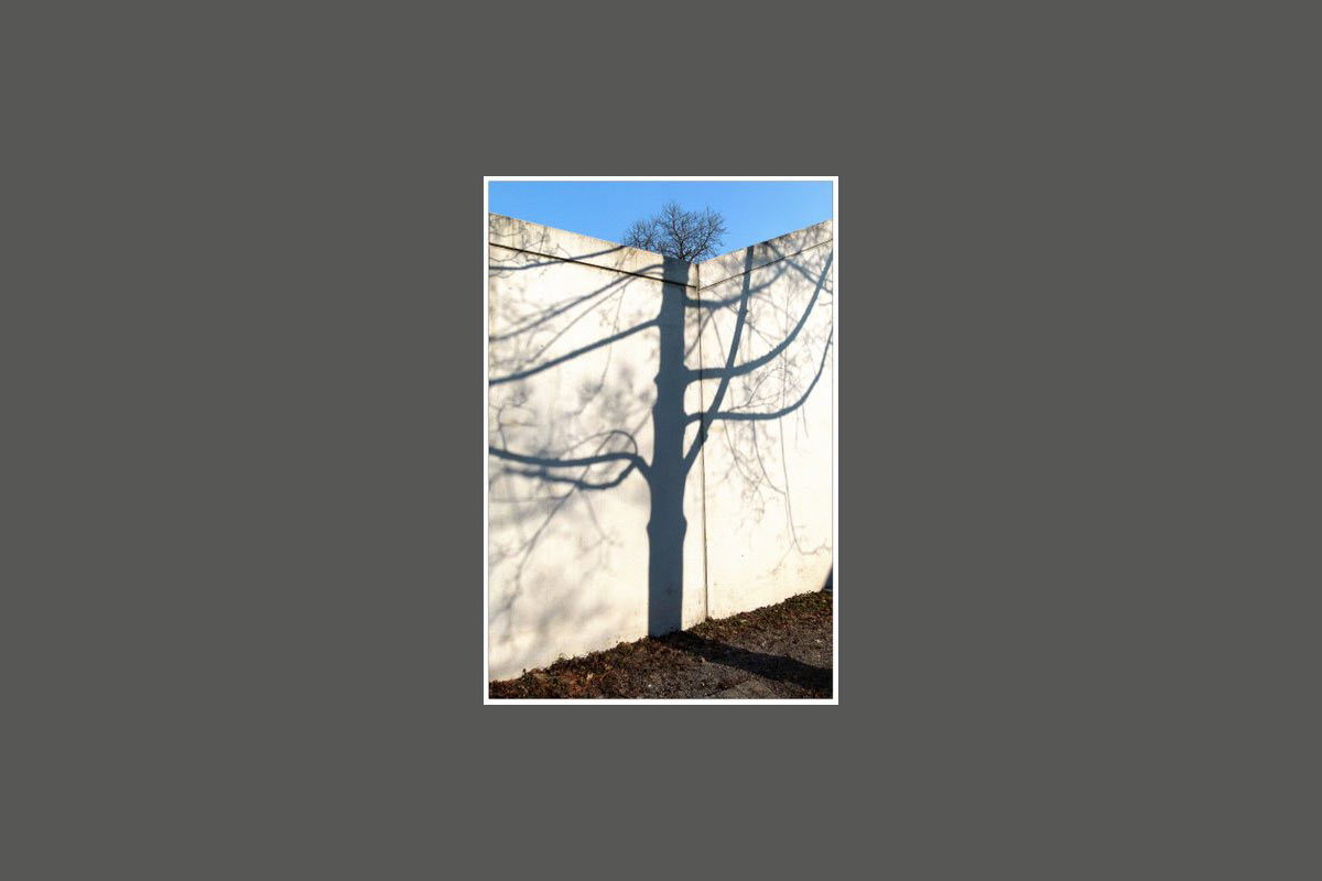 Fotoclub: Fotobearbeitung mit KI