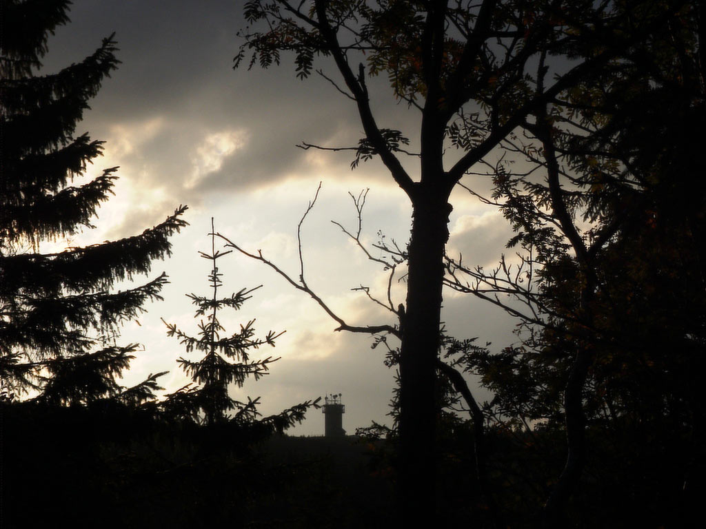 2011-bdj-071_Schneekopf_joh_07 Schneekopf (Foto: Johanna Hartung)