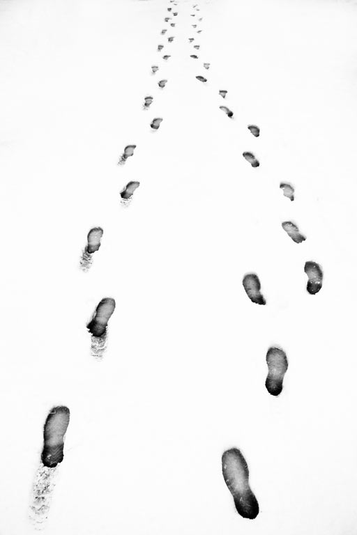 Fotoclub