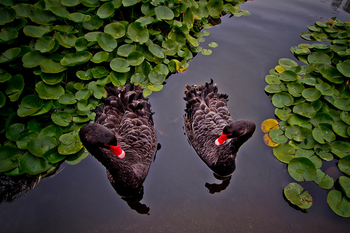 Fotoclub: Bild des Monats 07.2020