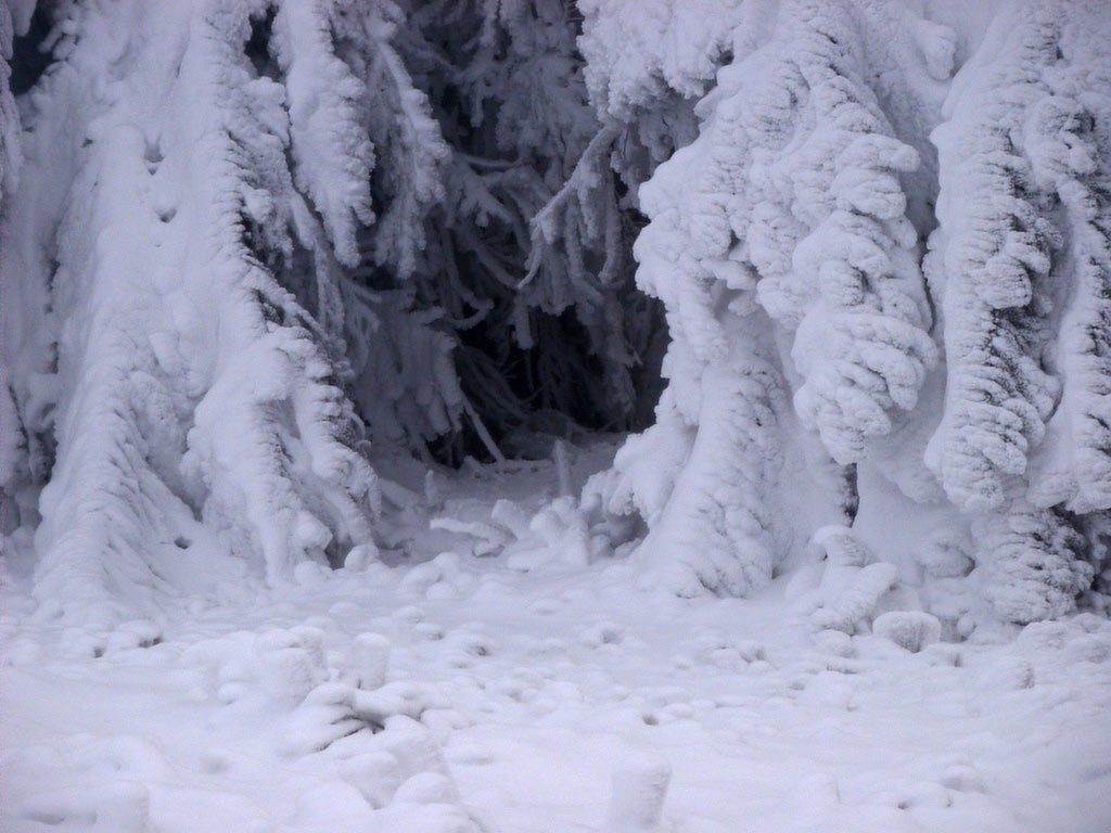 2011-bdj-089_Tunnelblick_joh_06 Tunnelblick (Foto: Johanna Hartung)