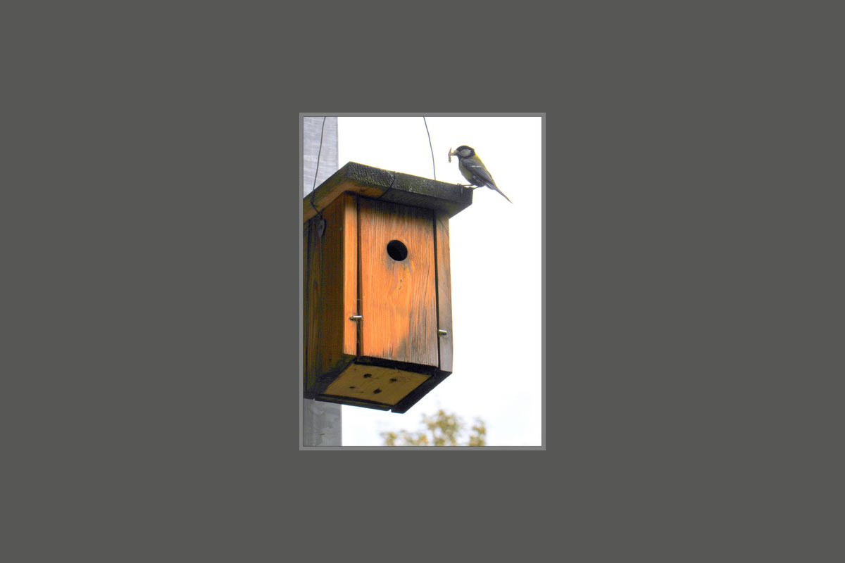 Fotoclub: Bild des Monats 07.2020