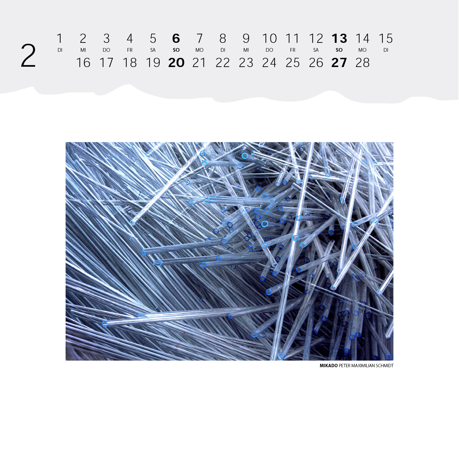 Fotoclub Kontrast Kalender 2011: Mikado (Foto: Peter Maximilian Schmidt)