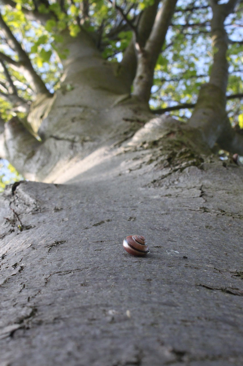 2012-03-16_hoch-hinaus_rok_12 Hoch hinaus (Foto: Roland Kastner)