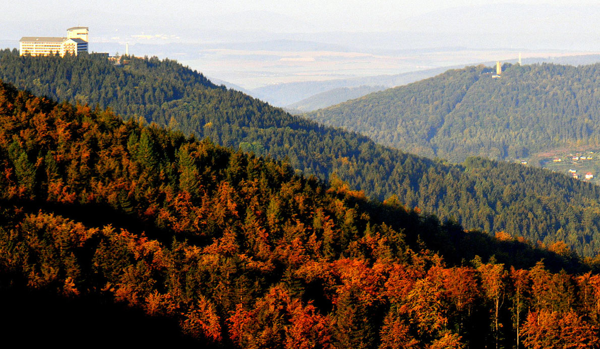 2012-03-22_landschaft_khr_12 Landschaft (Foto: Karl-Heinz Richter)