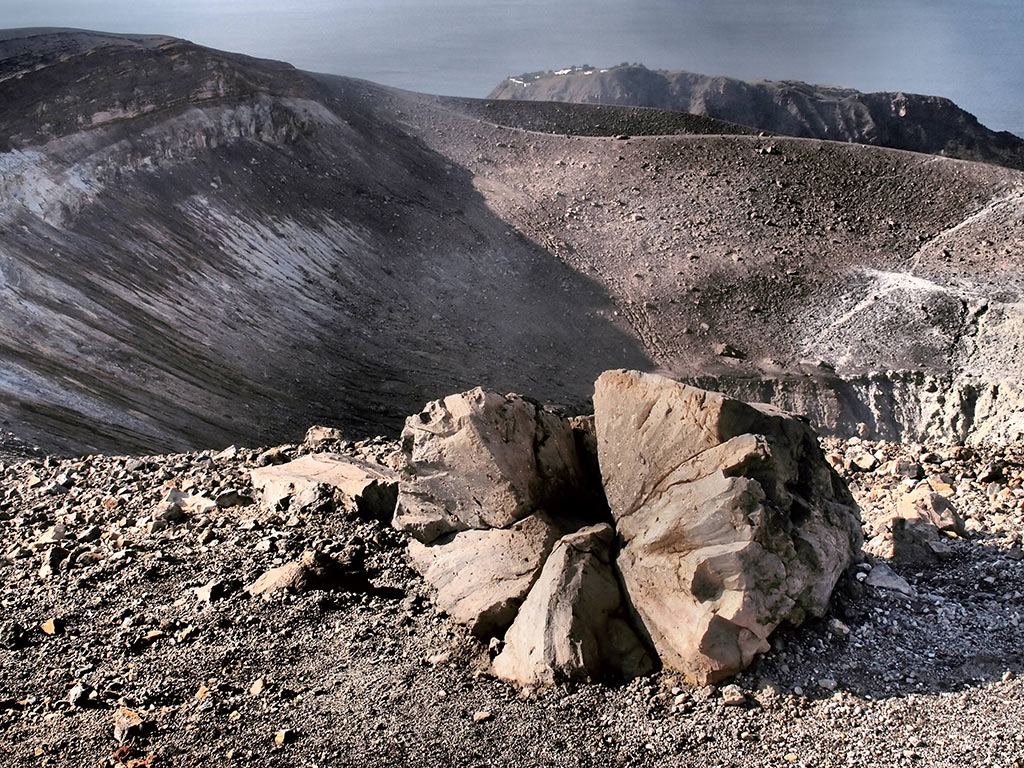 2012-03-36_steinrose_O0010385_mh_19 Steinrose (Foto: Manuela Hahnebach)