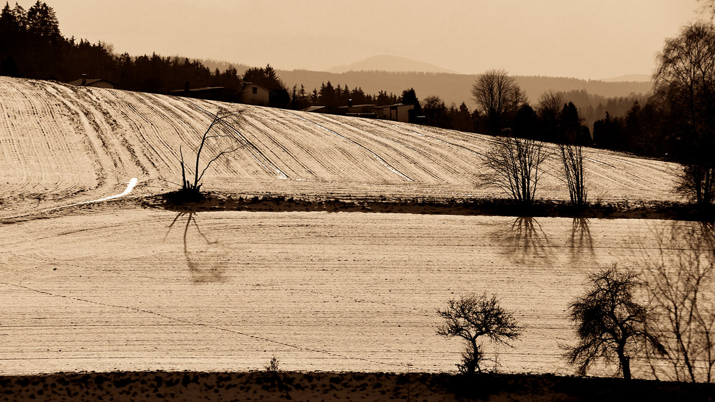 2012-03-42_winterlandschaft_upf_14 Winterlandschaft (Foto: Uli Pfeufer)