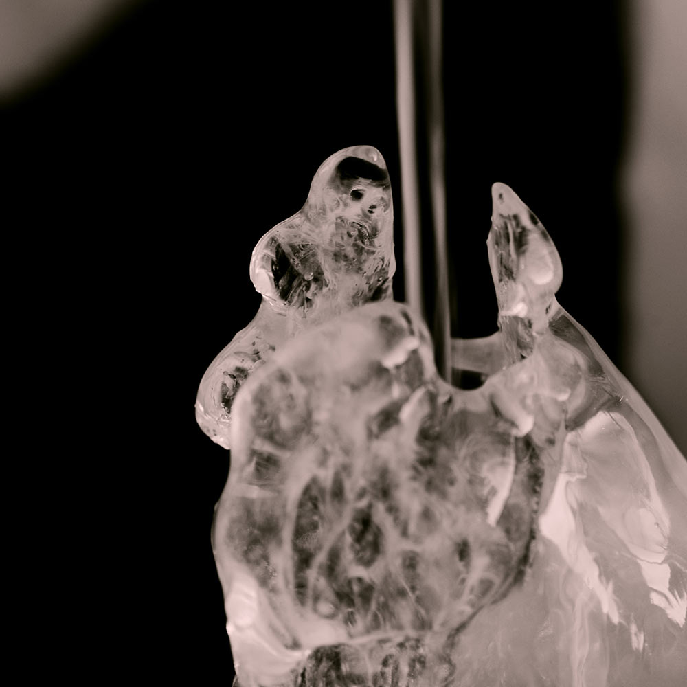 2012-03-zz02_2_eiszeit_3_upf_14 Serie: Eiszeit (Foto: Uli Pfeufer)