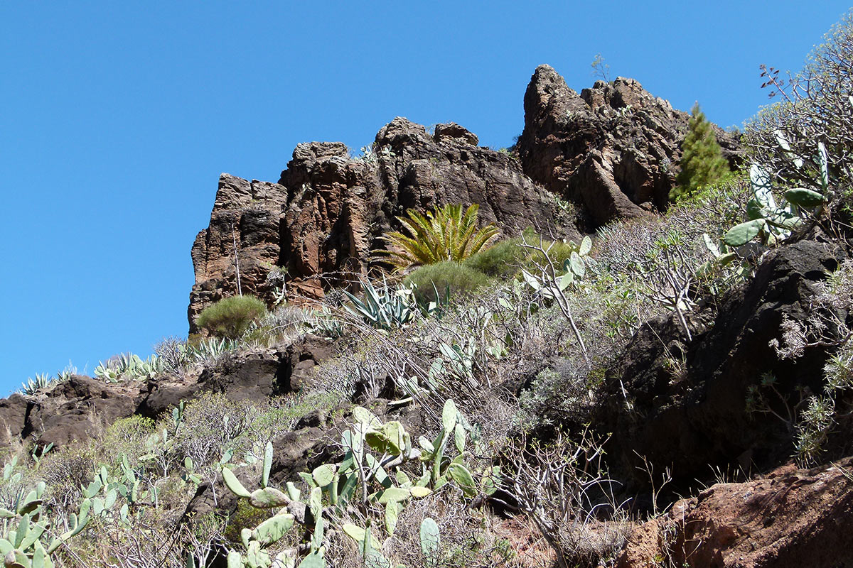 2012-05-zz02_2_khr_10 Serie: La Gomera (Foto: Karl-Heinz Richter)