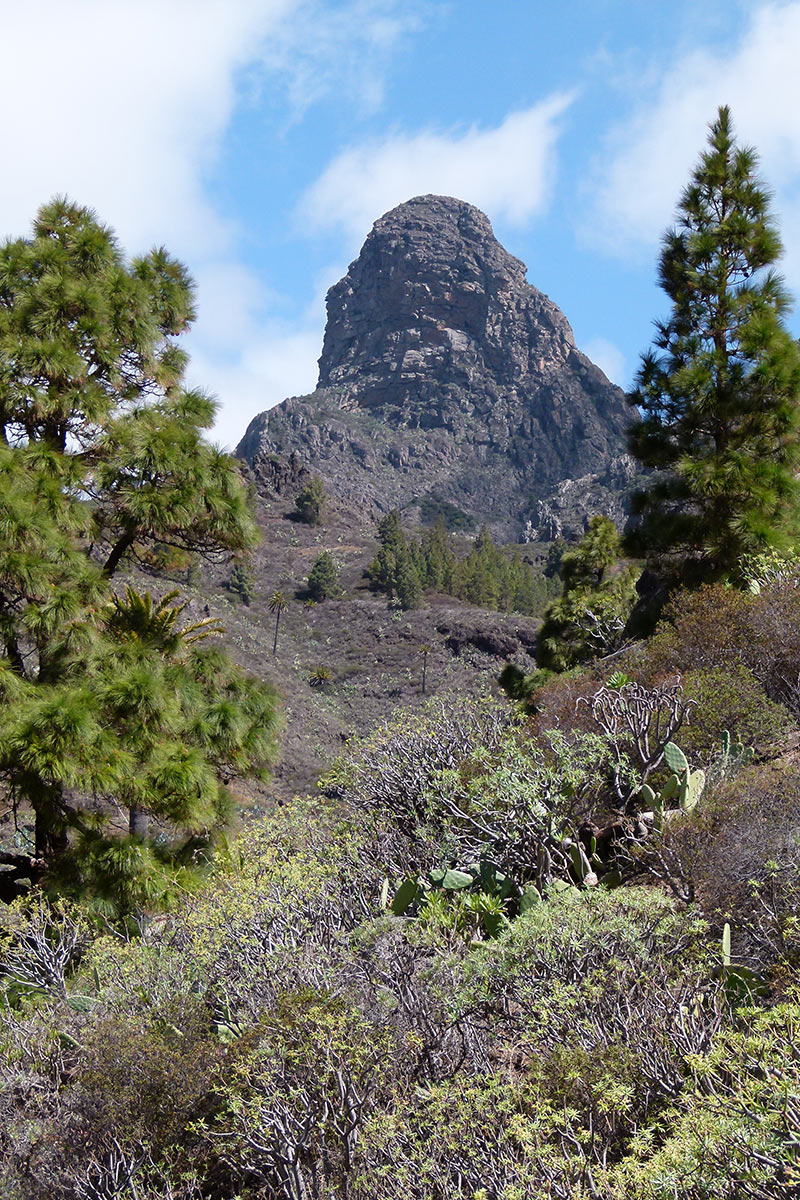 2012-05-zz02_4_khr_10 Serie: La Gomera (Foto: Karl-Heinz Richter)