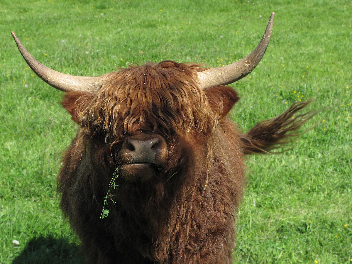 2012-06-31_C04_8280b_mahlzeit_ak_17 Mahlzeit (Foto: Andreas Kuhrt)