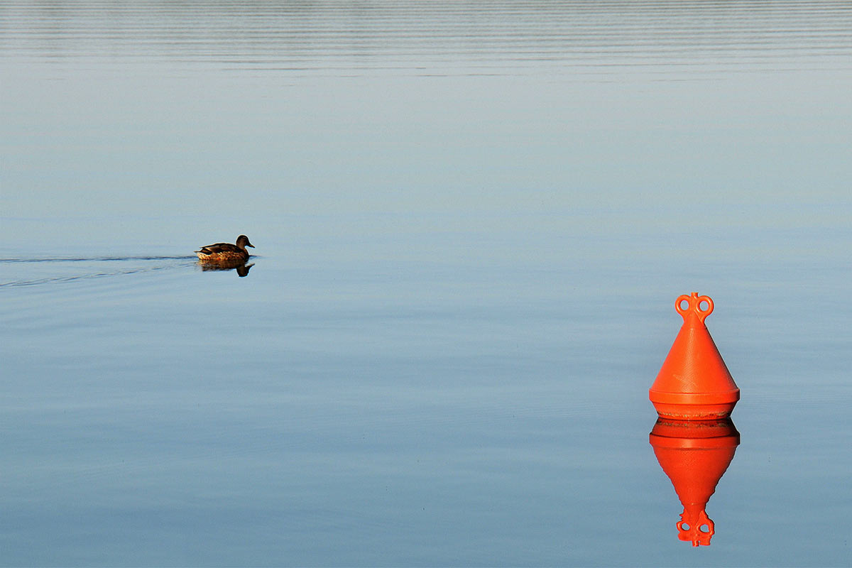 2012-06-38_02-DSC_1644_khr_15 Fahrrinne (Foto: Karl-Heinz Richter)