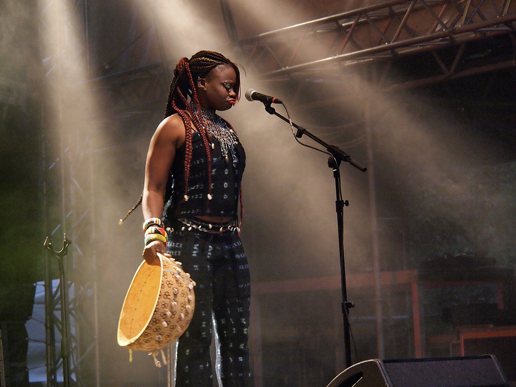 2012-07-18_O0017745_mh_18 Diva (Foto: Manuela Hahnebach)
