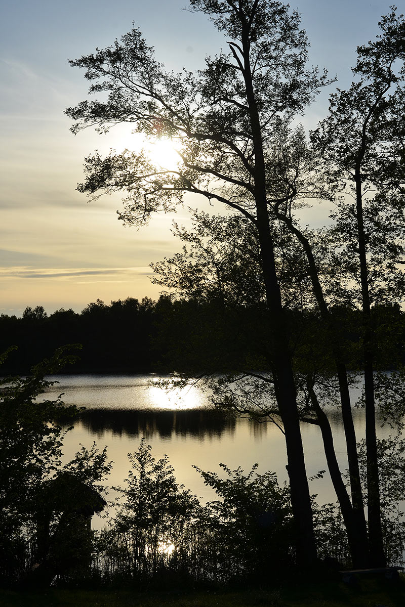 2012-07-23_See-am-Abend_gg_16 Abend am See (Foto: Günter Giese)