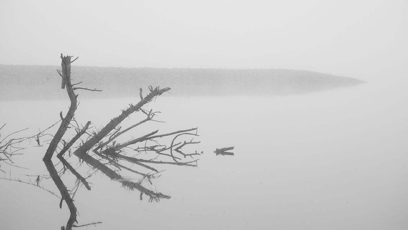 Elbstillleben (Foto: Uli Pfeufer)