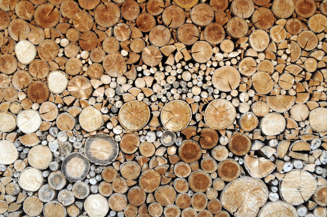 Serie: Holz (Foto: Ute Zohles)
