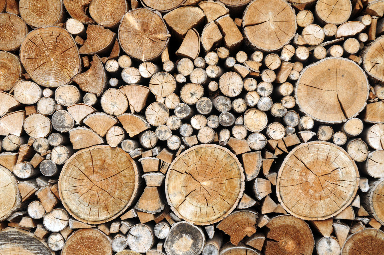 Serie: Holz (Foto: Ute Zohles)