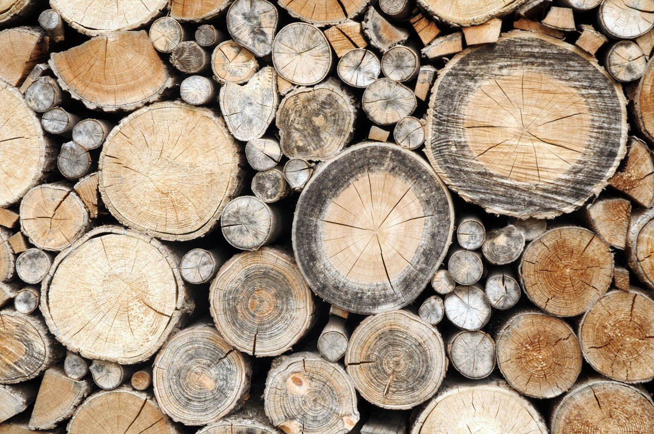 Serie: Holz (Foto: Ute Zohles)